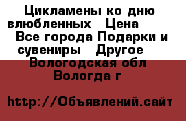 Цикламены ко дню влюбленных › Цена ­ 180 - Все города Подарки и сувениры » Другое   . Вологодская обл.,Вологда г.